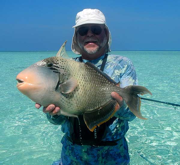 Fliegenfischen auf Triggerfish